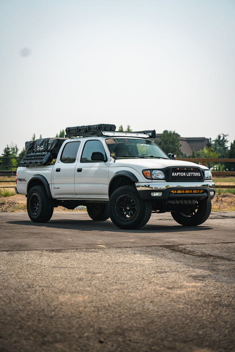 Load image into Gallery viewer, 2001-04 Tacoma Raptor Grille
