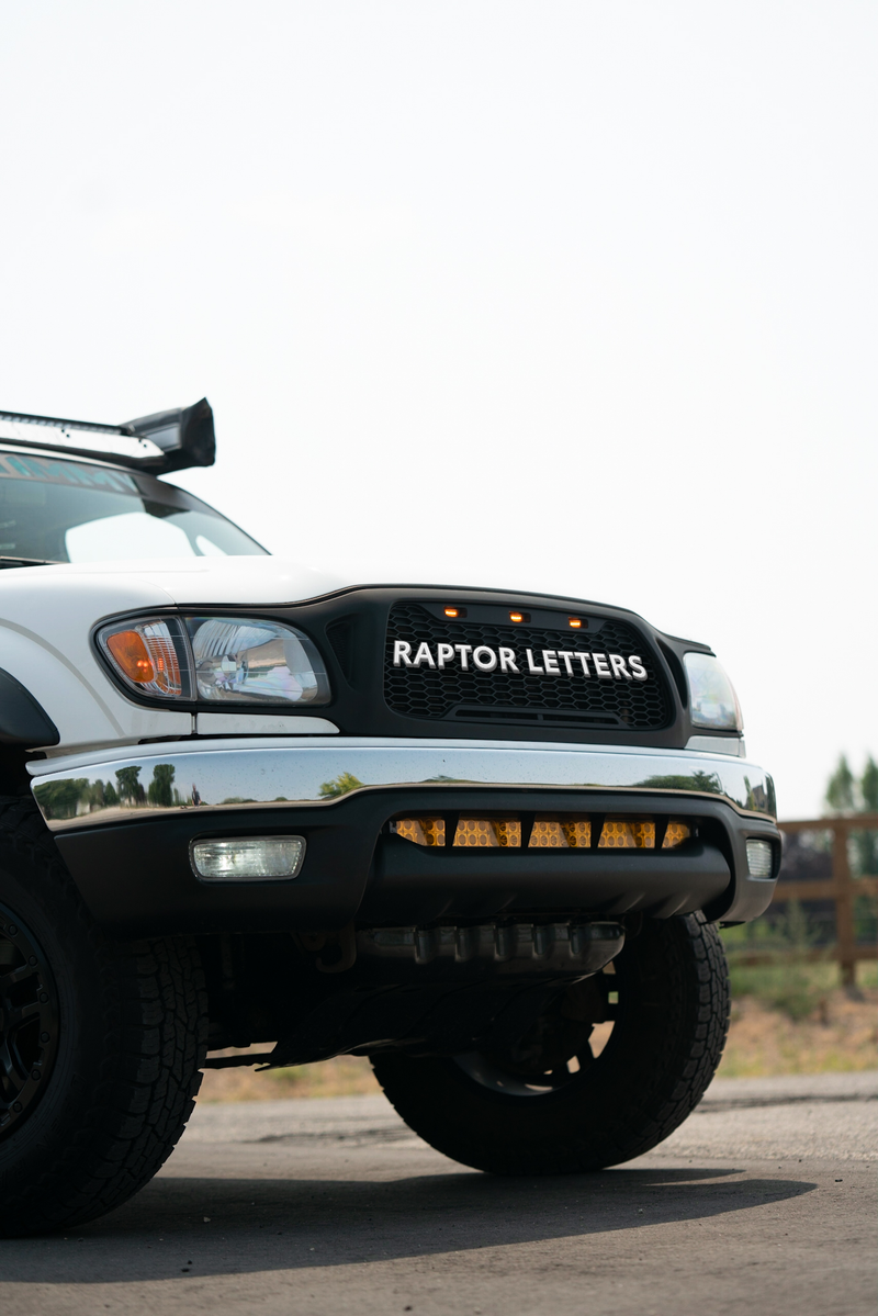 Load image into Gallery viewer, 2001-04 Tacoma Raptor Grille
