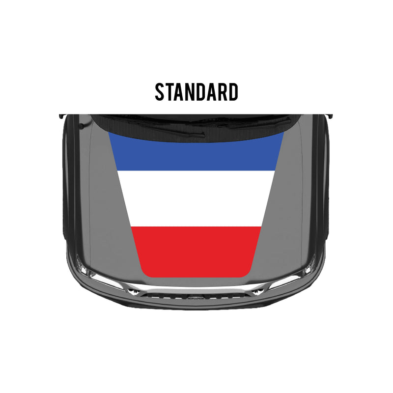 Load image into Gallery viewer, 2001-04 Tacoma Checkered Stripe Kit

