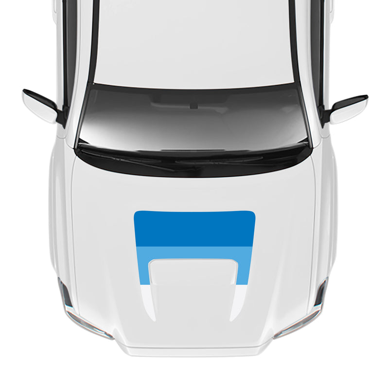 Load image into Gallery viewer, 2016-23 Tacoma Sport/Pro Hood Stamp
