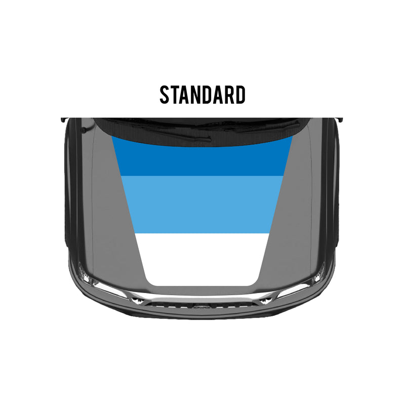 Load image into Gallery viewer, 2001-04 Tacoma Checkered Stripe Kit

