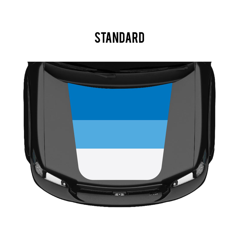 Load image into Gallery viewer, 2001–07 Sequoia Checkered Stripe Kit
