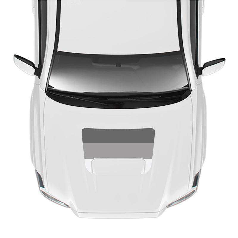 Load image into Gallery viewer, 2016-23 Tacoma Sport/Pro Hood Stamp
