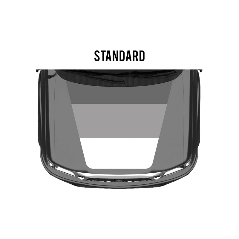 Load image into Gallery viewer, 2001-04 Tacoma Checkered Stripe Kit
