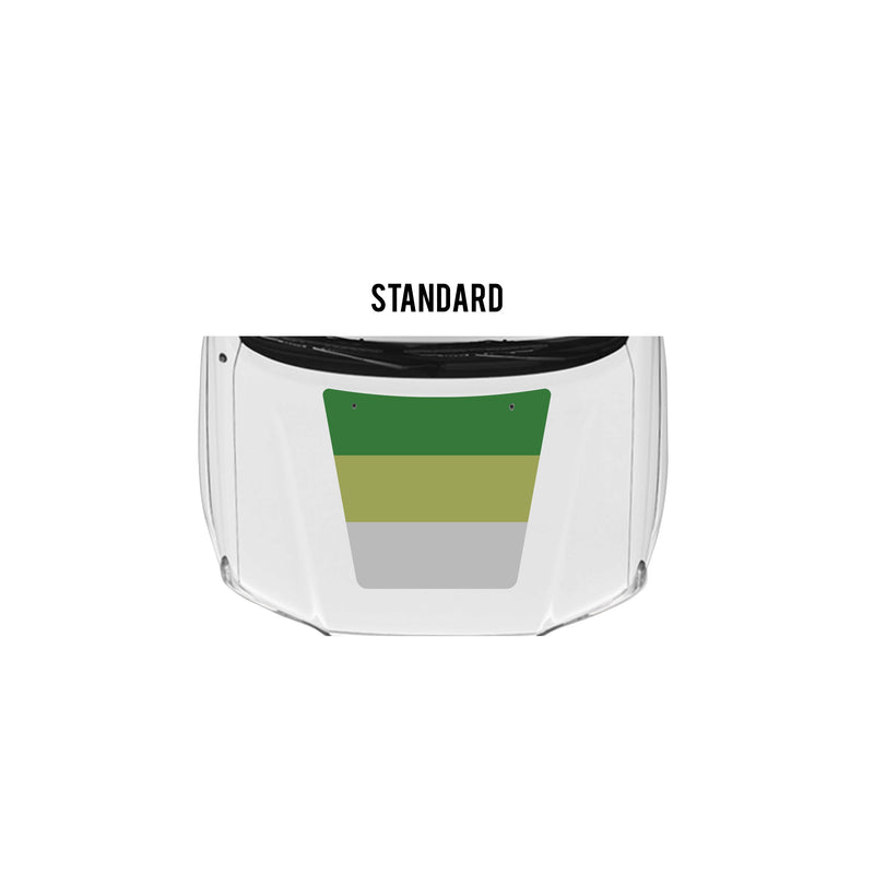 Load image into Gallery viewer, 2005-15 Tacoma Checkered Stripe Kit
