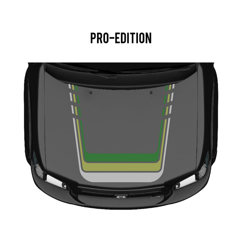 Load image into Gallery viewer, 2001–07 Sequoia Checkered Stripe Kit
