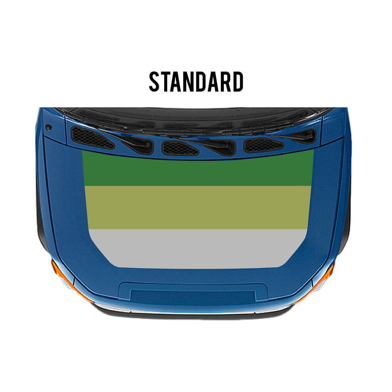 Load image into Gallery viewer, 2007-14 FJ Cruiser Checkered Stripe Kit
