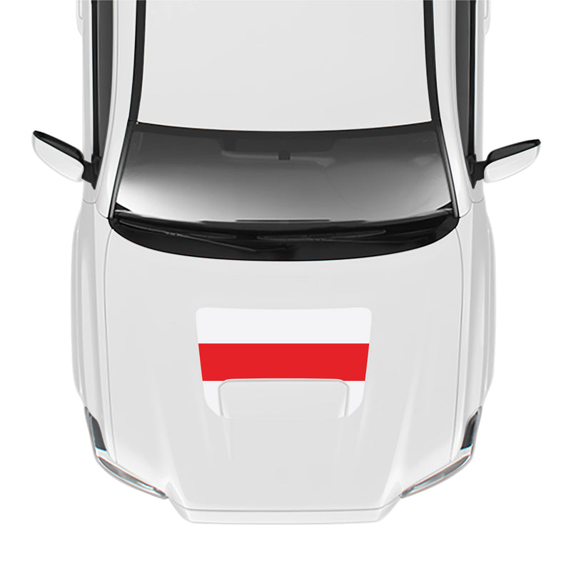 Load image into Gallery viewer, 2016-23 Tacoma Sport/Pro Hood Stamp
