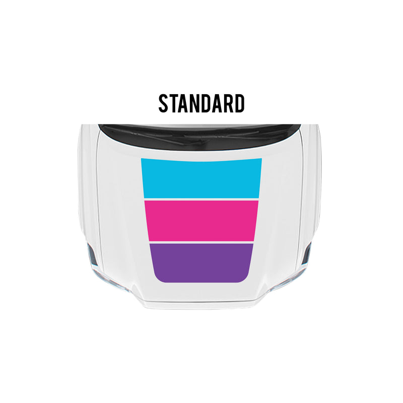 Load image into Gallery viewer, 2016-23 Tacoma Checkered Stripe Kit
