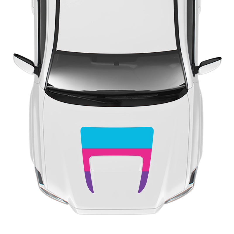 Load image into Gallery viewer, 2016-23 Tacoma Sport/Pro Hood Stamp
