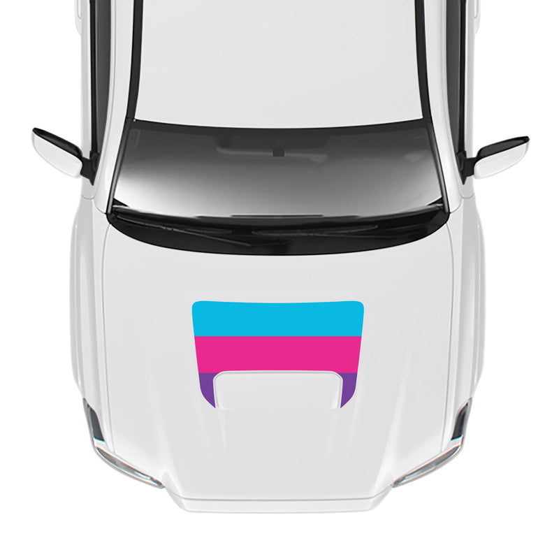 Load image into Gallery viewer, 2016-23 Tacoma Sport/Pro Hood Stamp
