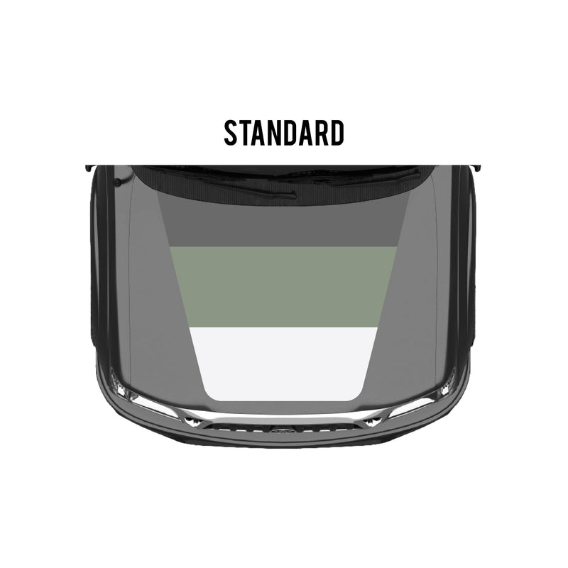 Load image into Gallery viewer, 2001-04 Tacoma Checkered Stripe Kit
