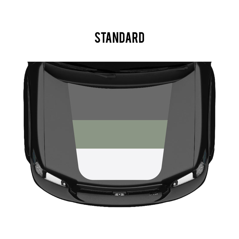 Load image into Gallery viewer, 2001–07 Sequoia Checkered Stripe Kit

