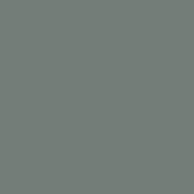 Load image into Gallery viewer, Pro Grille Insert
