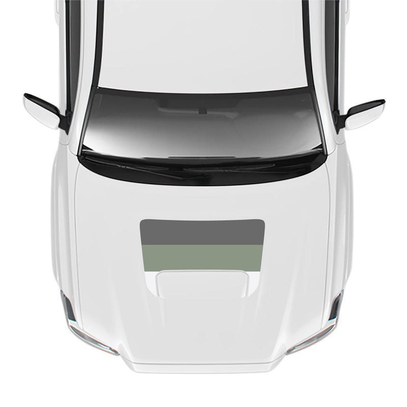 Load image into Gallery viewer, 2016-23 Tacoma Sport/Pro Hood Stamp

