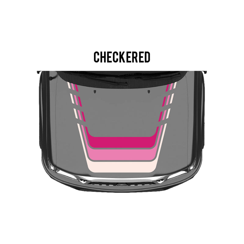 Load image into Gallery viewer, 2001-04 Tacoma Checkered Stripe Kit

