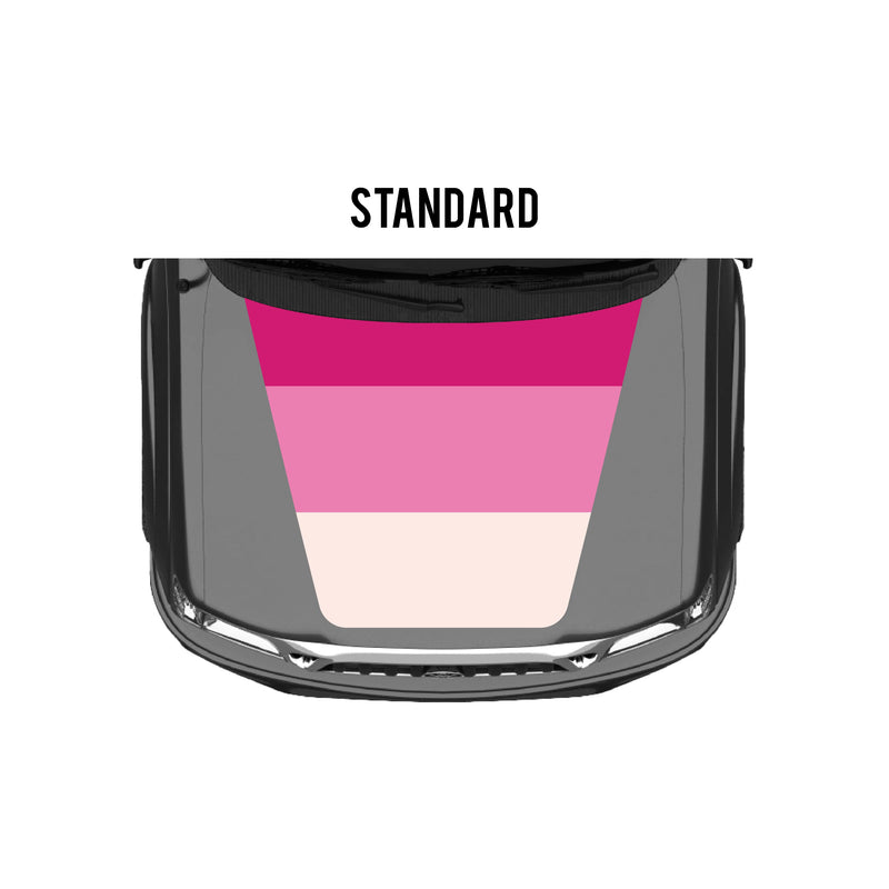 Load image into Gallery viewer, 2001-04 Tacoma Checkered Stripe Kit

