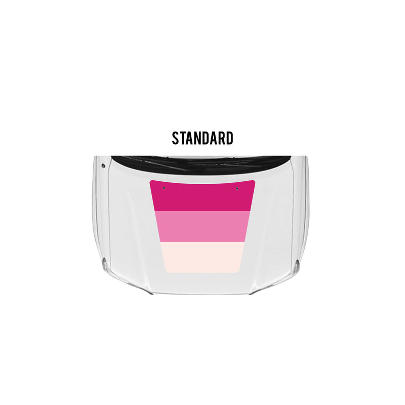 Load image into Gallery viewer, 2005-15 Tacoma Checkered Stripe Kit
