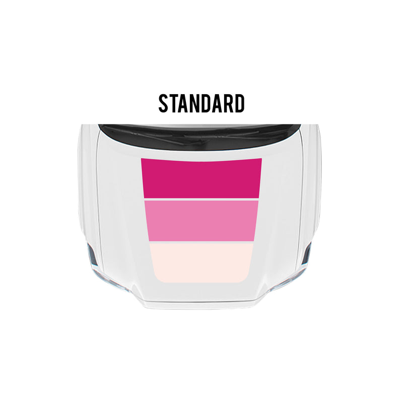 Load image into Gallery viewer, 2016-23 Tacoma Checkered Stripe Kit
