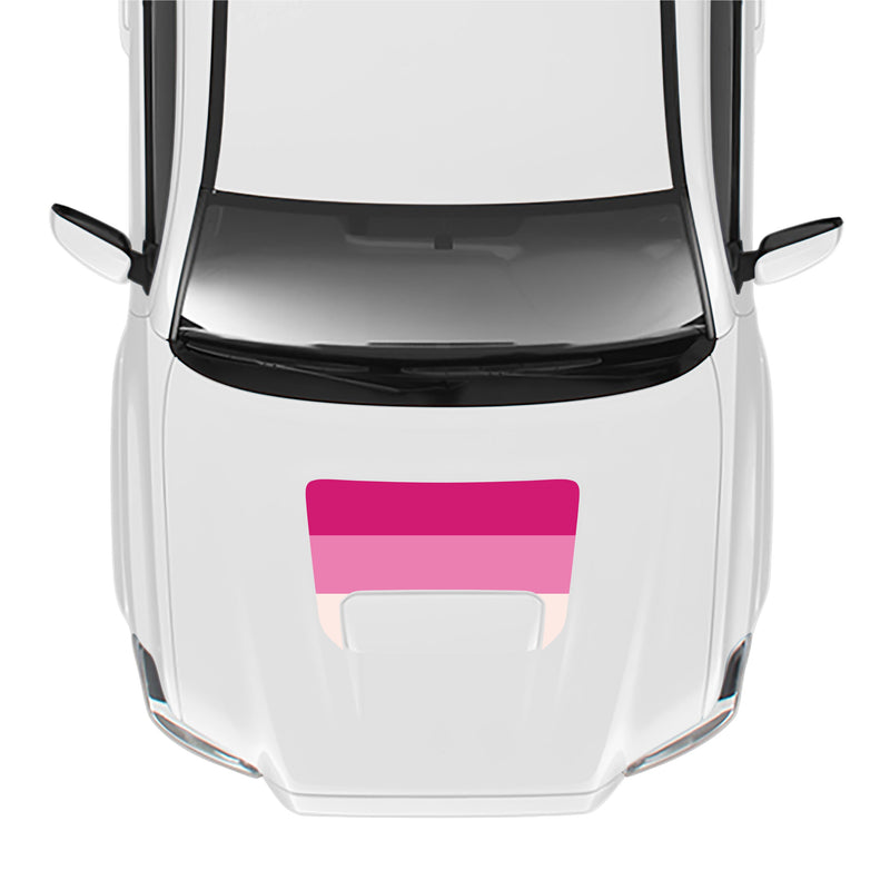 Load image into Gallery viewer, 2016-23 Tacoma Sport/Pro Hood Stamp
