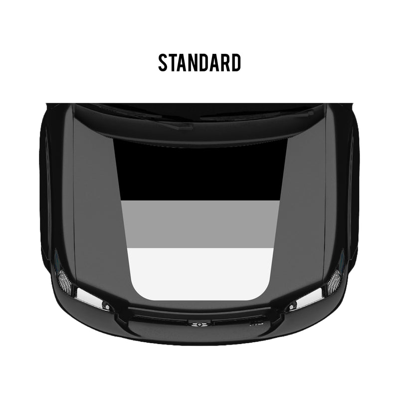 Load image into Gallery viewer, 2001–07 Sequoia Checkered Stripe Kit
