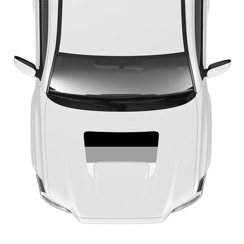 Load image into Gallery viewer, 2016-23 Tacoma Sport/Pro Hood Stamp
