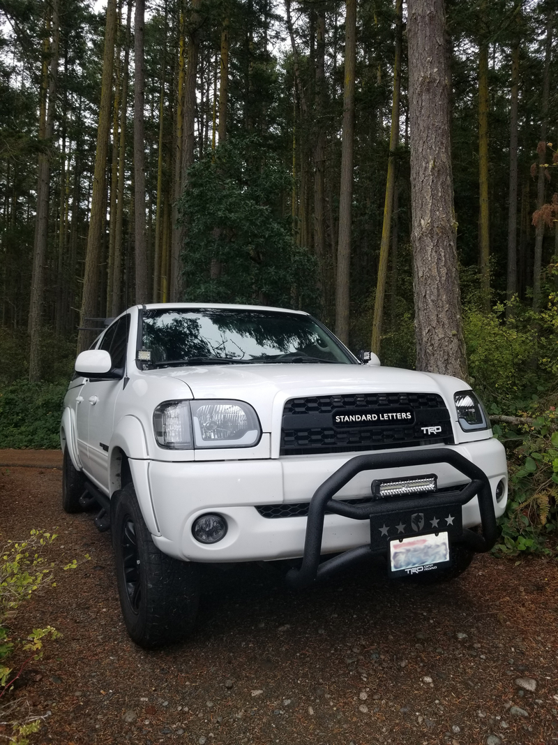 Load image into Gallery viewer, 2003-06 Tundra Pro Grille
