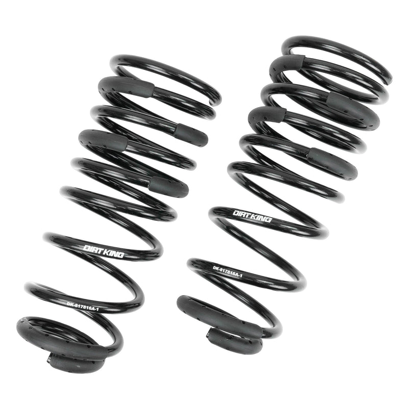 Load image into Gallery viewer, +1&quot; Rear Springs
