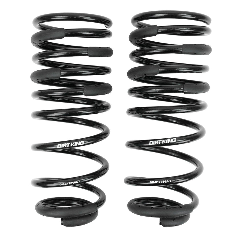 Load image into Gallery viewer, +1&quot; Rear Springs

