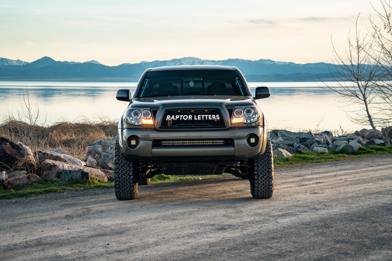 Load image into Gallery viewer, 2005-11 Tacoma Raptor Grille
