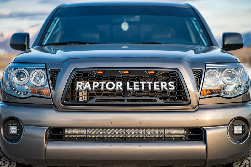 Load image into Gallery viewer, 2005-11 Tacoma Raptor Grille
