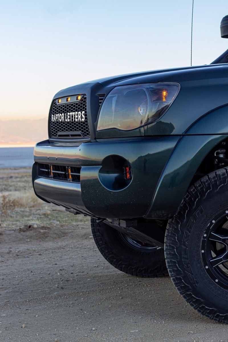 Load image into Gallery viewer, 2005-11 Tacoma Raptor Grille
